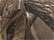 Realtree All Purpose